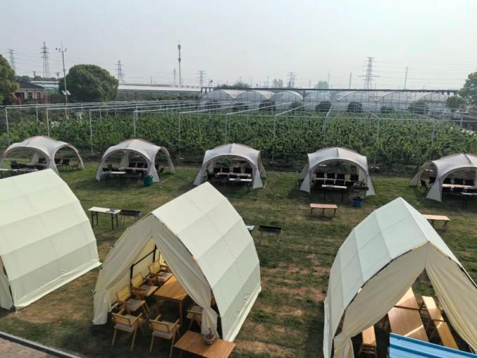 鲍楠：95后新农人，用智慧农业重塑传统农庄